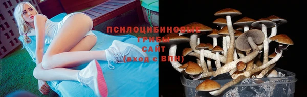 бошки Нягань
