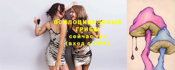 бошки Нягань