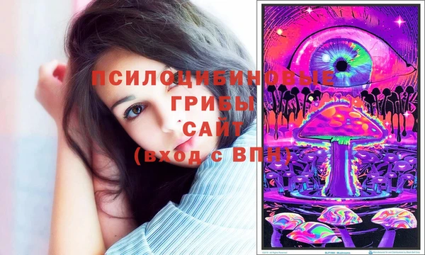 бошки Нягань