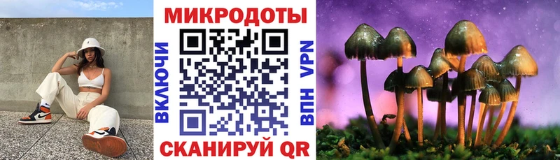 Псилоцибиновые грибы прущие грибы Лебедянь